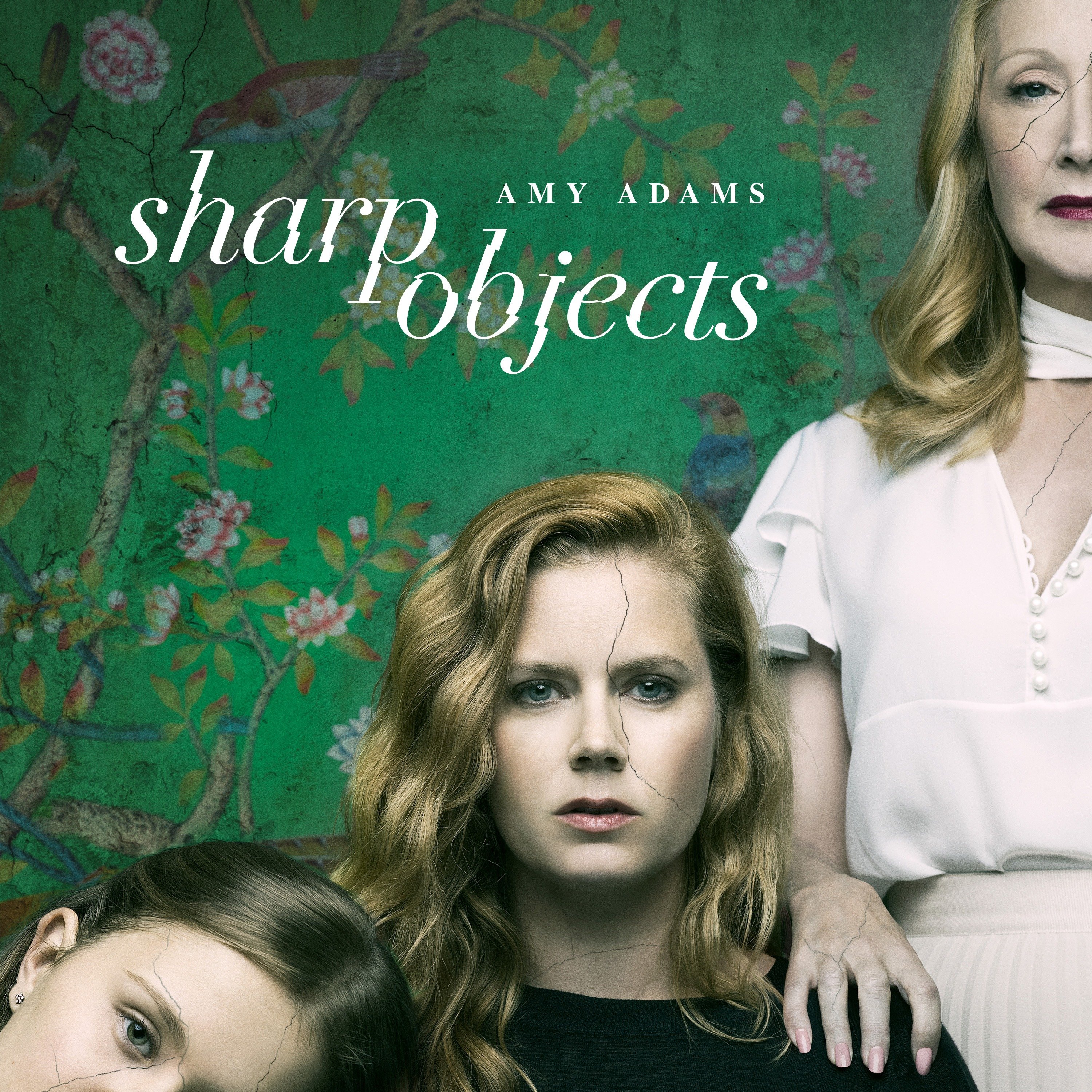 10 Best Shows Like 'Sharp Objects' To Watch If You Miss the Series :  r/sharpobjects