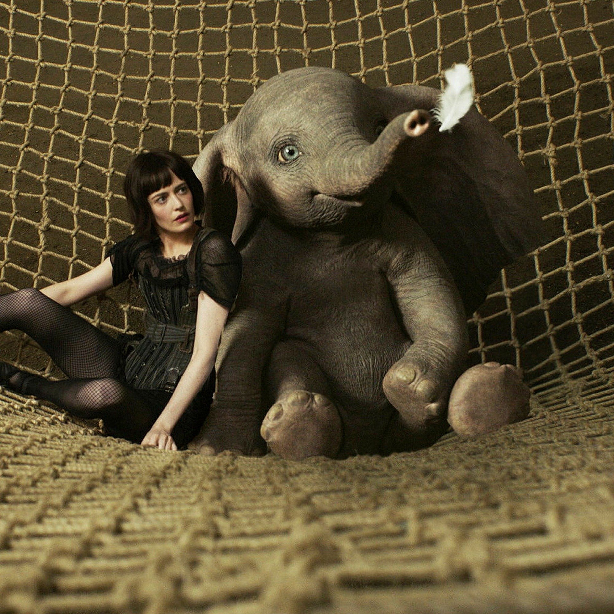 The 20+ Best Elephant Movies Ever Made, Ranked