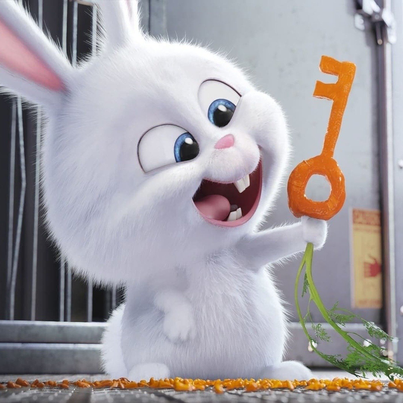 Animated Movies With Rabbits 60 Photos - Moonagedaydream.film